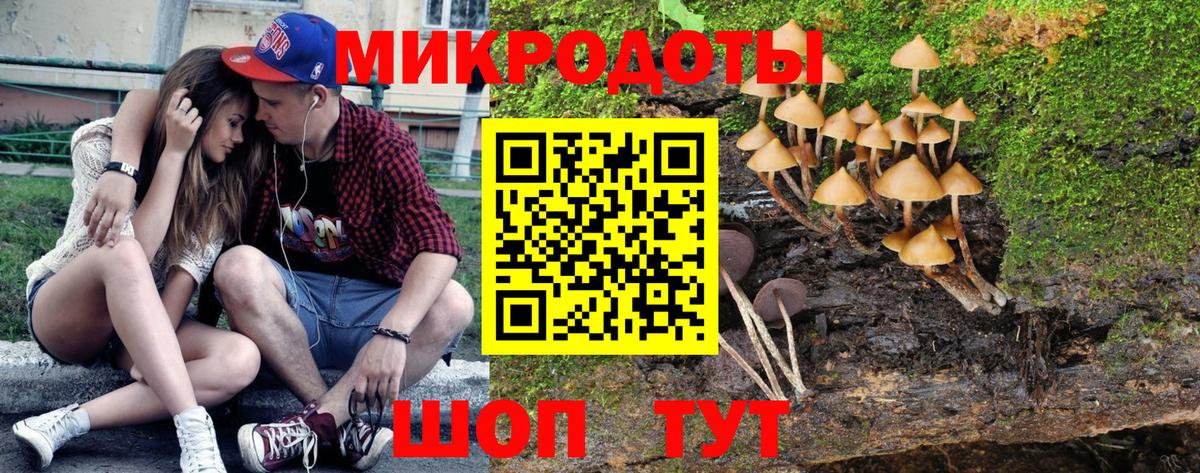Галлюциногенные грибы GOLDEN TEACHER Гусь-Хрустальный