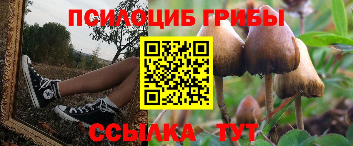 Гусь-Хрустальный  Псилоцибиновые грибы Cubensis  продажа наркотиков  Вход с VPN 